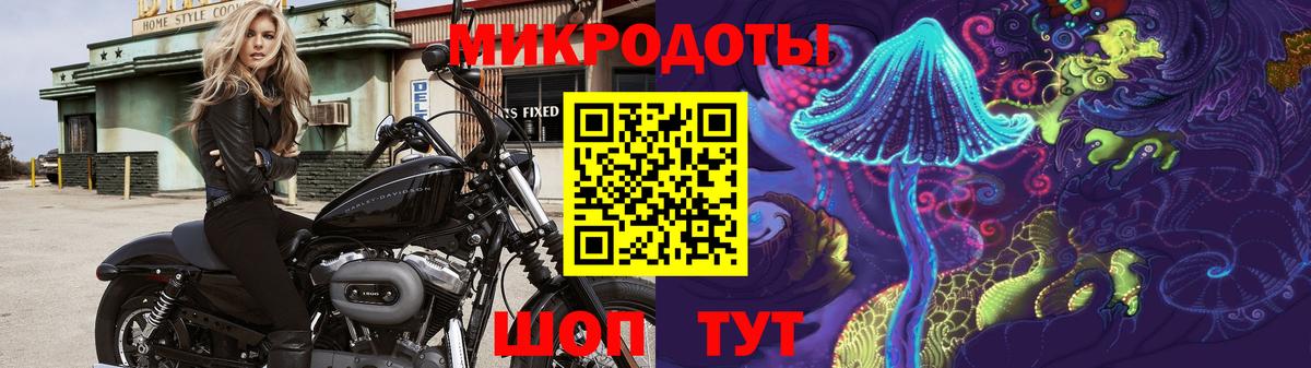 Мариинск  Псилоцибиновые грибы Cubensis  Вход с VPN 